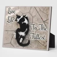 Live To Fullest Cat Motivational Slogan Quote Plaque