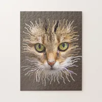 Lion cat jigsaw puzzle