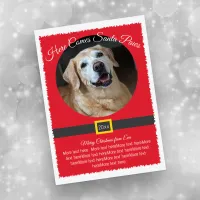 Christmas Santa Paws Photo Holiday Card