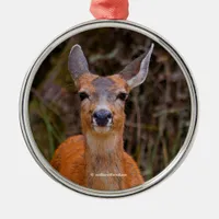 Funny Young Blacktail Deer Smiles at Photographer Metal Ornament