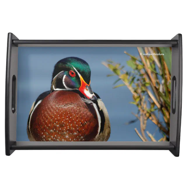 Beautiful Pensive Wood Duck in the Marsh Serving Tray