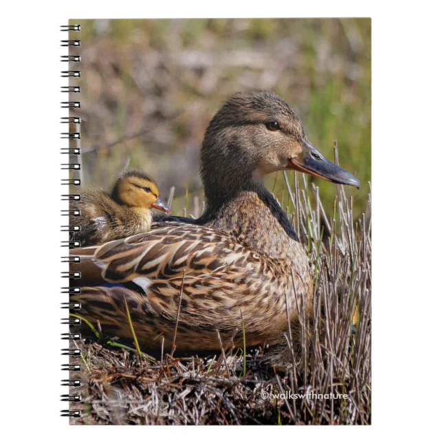 Cute Chillin' Mallard Mom Duck & Baby Duckling Notebook