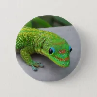Gold Dust Day Gecko – Audition and Get Some Gecko Pinback Button