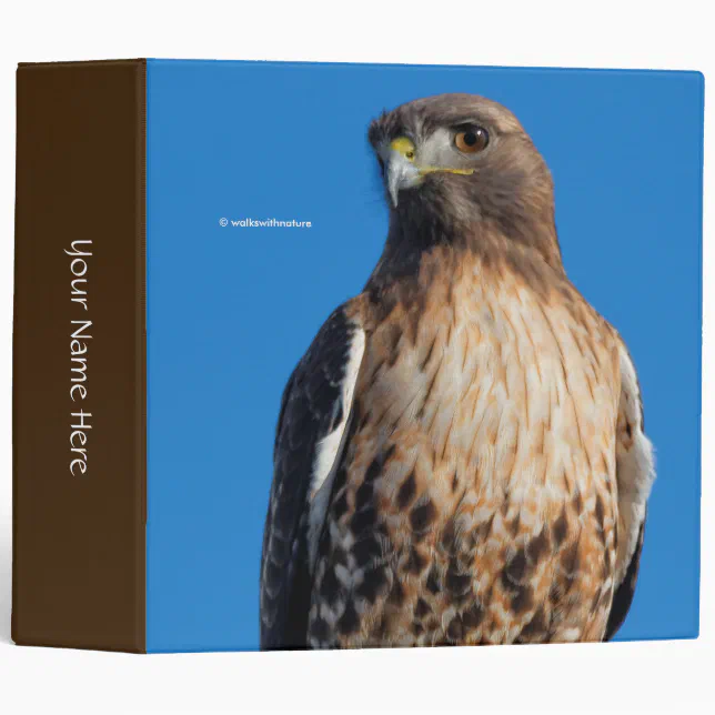 Magnificent Red-Tailed Hawk in the Sun 3 Ring Binder