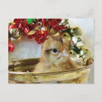 Christmas Chick Holiday Postcard