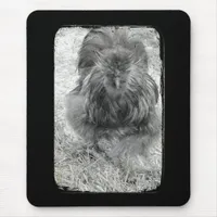 Silkie Mouse Pad