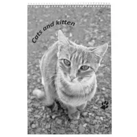 Cats and kitten calendar