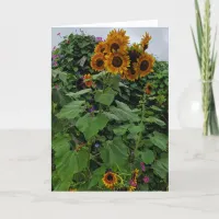 Thinking of You, Sunflowers and Morning Glories Card