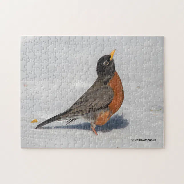 American Robin in the Snow Jigsaw Puzzle