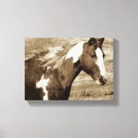 Sepia Flashy Mare Canvas Print