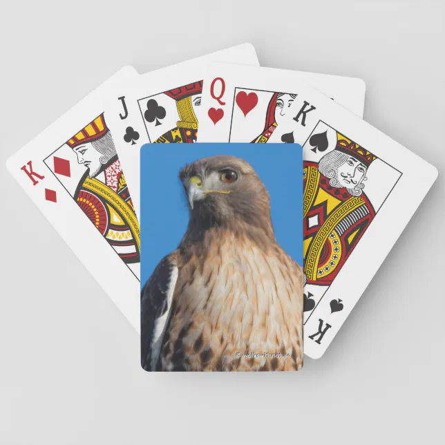 Magnificent Red-Tailed Hawk in the Sun Poker Cards