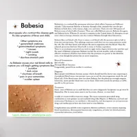 Babesia Symptoms and Transmission Poster