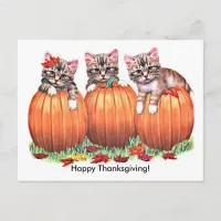 Happy Thanksgiving Kittens on Pumpkins Autumn, ZSG Holiday Postcard