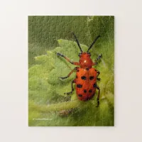 Spotted Asparagus Beetle on Leaf Jigsaw Puzzle