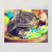 Easter Turtle Holiday Postcard