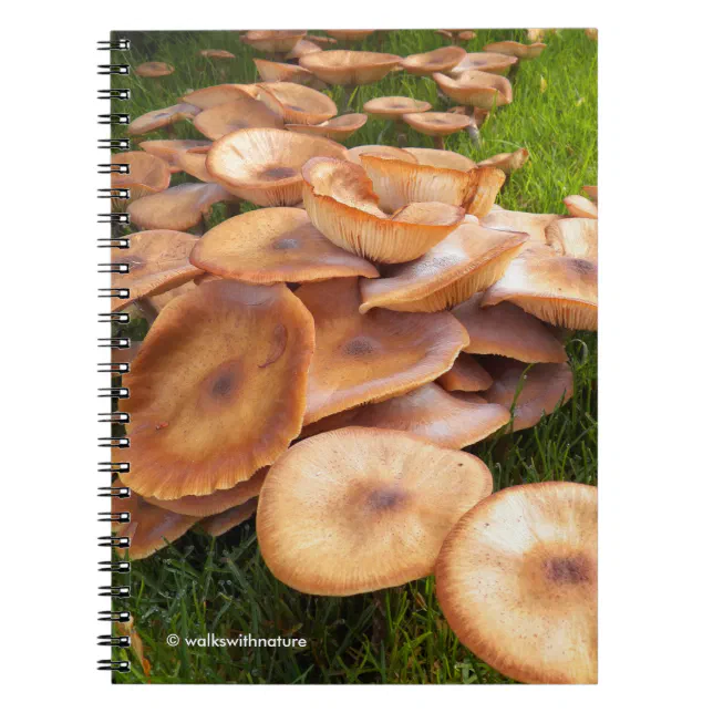 The Fall of Mushrooms Notebook