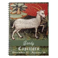Capricorn the Goat Zodiac Sign Birthday Party Notebook