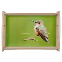 Rufous Hummingbird Sitting in the California Lilac Serving Tray
