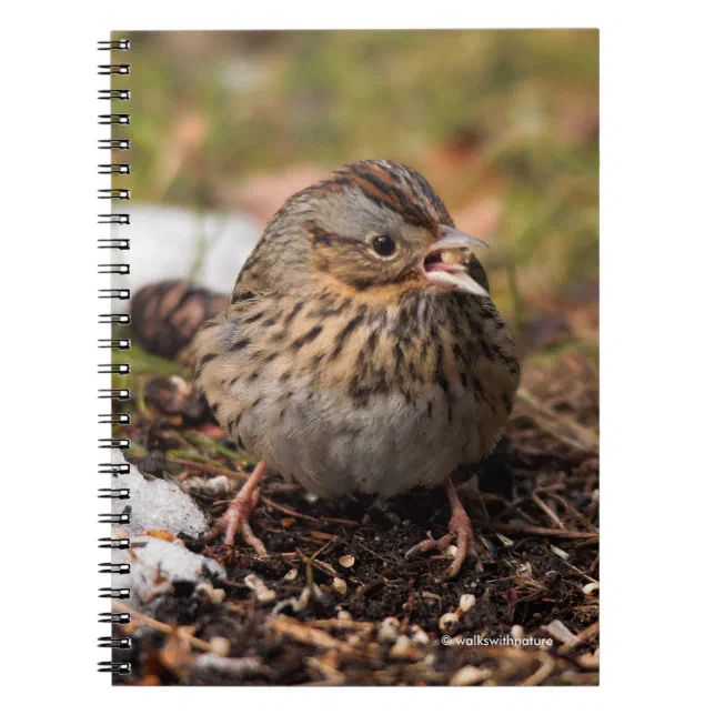 Cute and Spunky Lincoln's Sparrow Notebook