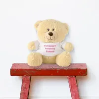 Playful Pink Text 'Grandma's Favorite' Teddy Bear
