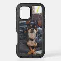 Add your Favorite Pet Photo to this  iPhone 16 Case