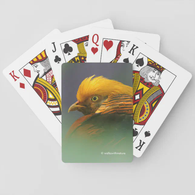 Emerging from the Green: Golden Pheasant Poker Cards