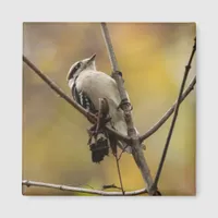 Downy Woodpecker Grasps Branch Photo Enlargement Magnet