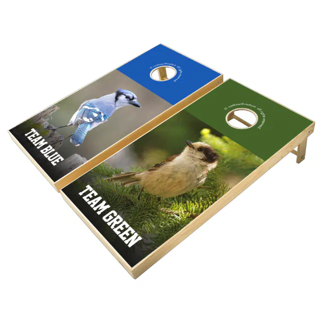 Cute Funny Blue Jay Grey Jay Battling Songbirds Cornhole Set