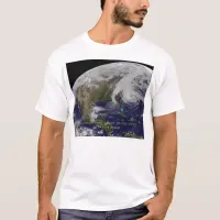 Satellite View of Hurricane Sandy T-Shirt