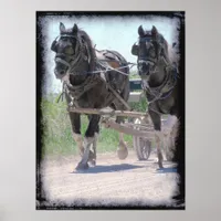 Working Amish Pintos Poster