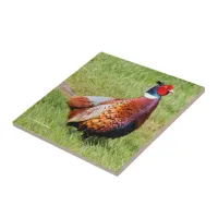 Profile of a Ring-Necked Pheasant Ceramic Tile
