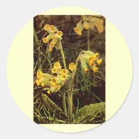 Wildflower: Cowslip Classic Round Sticker