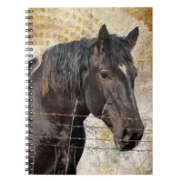 The Gentle One, A draft horse Notebook