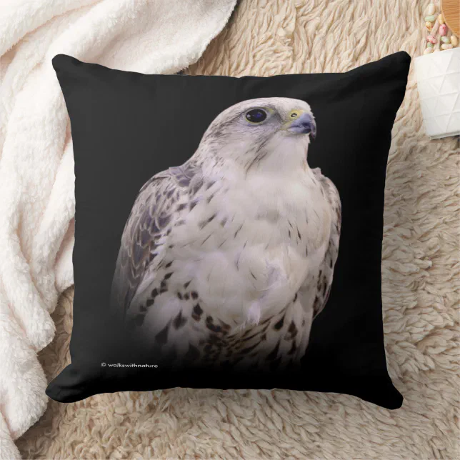 Vignetted Portrait of an Inquisitive Saker Falcon Throw Pillow