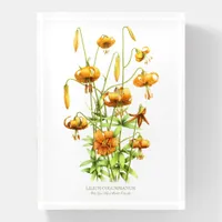 Wild Tiger Lilies Paperweight