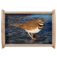 Killdeer on the Icy Mudflats Serving Tray