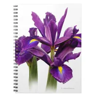 Stunning Dutch Iris Purple Sensation Flower Notebook