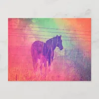 Horse Dreams Postcard