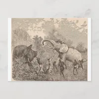 Hunting Elephants Postcard