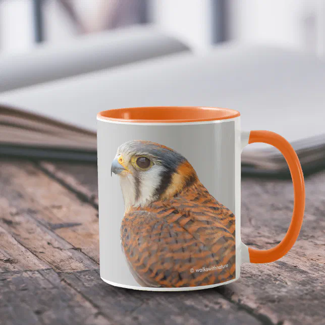 Stunning American Kestrel Sparrowhawk Falcon Mug