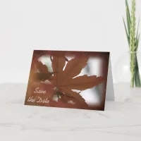 Japanese Maple Leaf Fall Wedding Save the Date Announcement