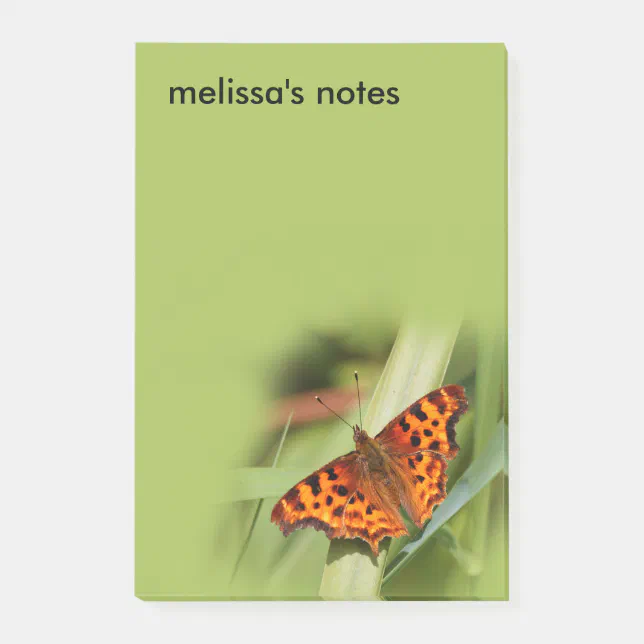 Beautiful Orange Satyr Comma Butterfly Post-it Notes