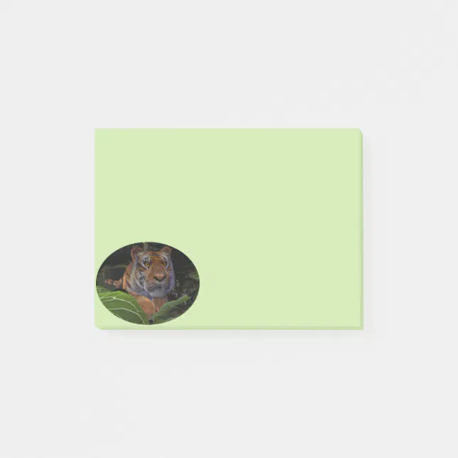 Tiger Crouching in the Jungle Post-it Notes