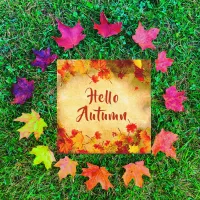 Hello Autumn Leaves on Old Paper Background
