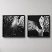 Black and White Hosta Leaves Close Up Peel And Stick Photo Tile