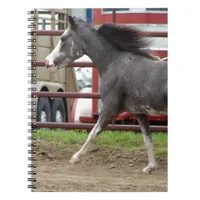 Mini horse in liberty class notebook