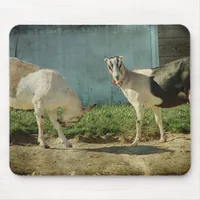 Dairy Goats Mouse Pad