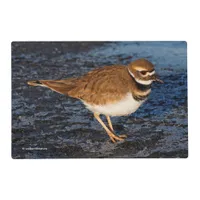 Killdeer on the Icy Mudflats Placemat