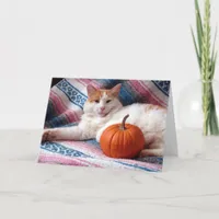 Kitty Thanksgiving Holiday Card