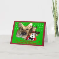 Christmas German Shepherd & Toy Reindeer Holiday Card